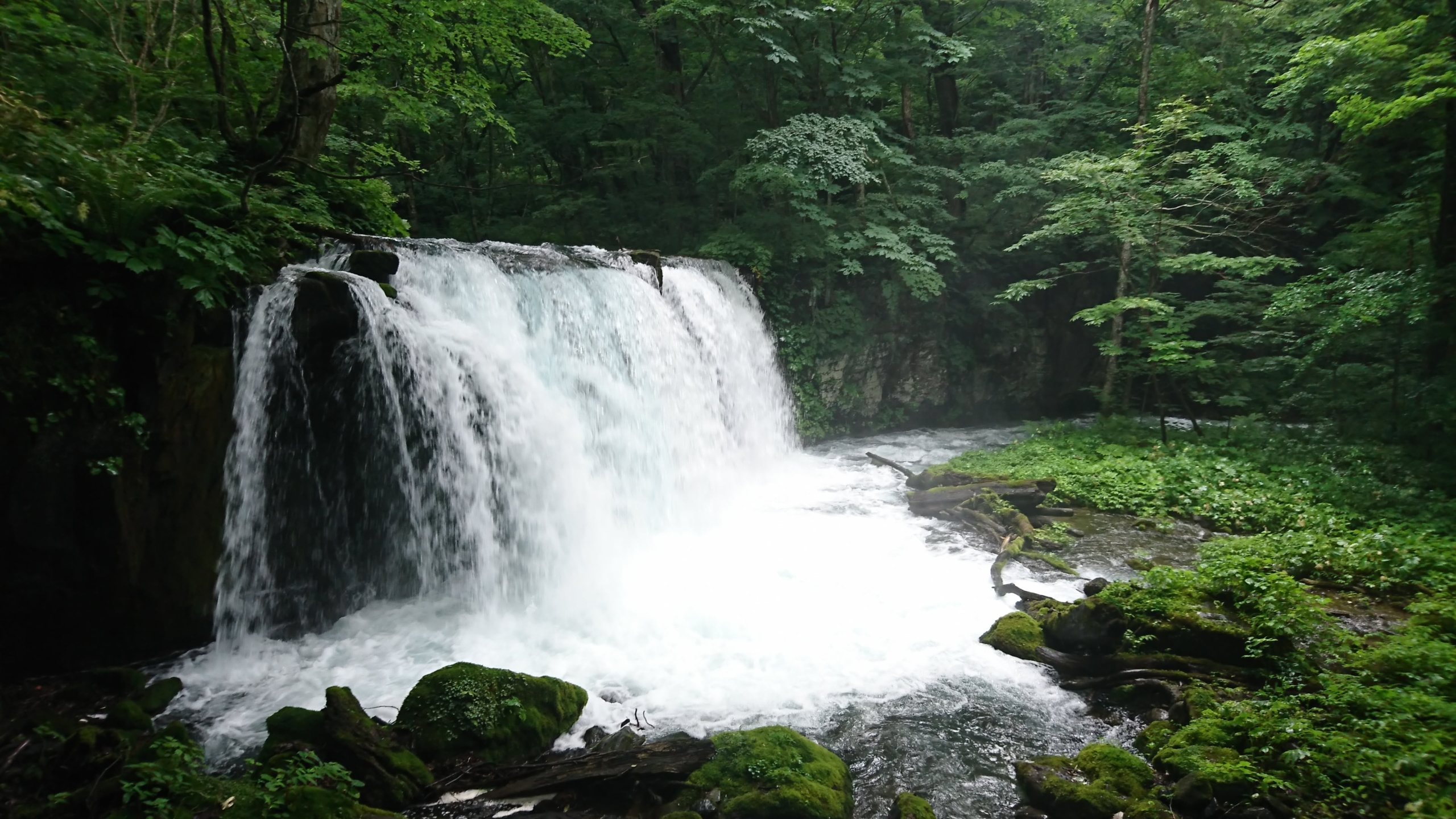 奥入瀬渓流を効率よく攻略しよう！地元で聞いた散策の裏技紹介します