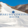 長野県 白馬コルチナスキー場【公式】天然雪100%のパウダースノー